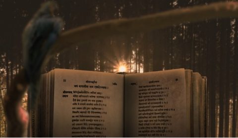 Hindi Course In Vedic Astrology​ By Kaartik Gor